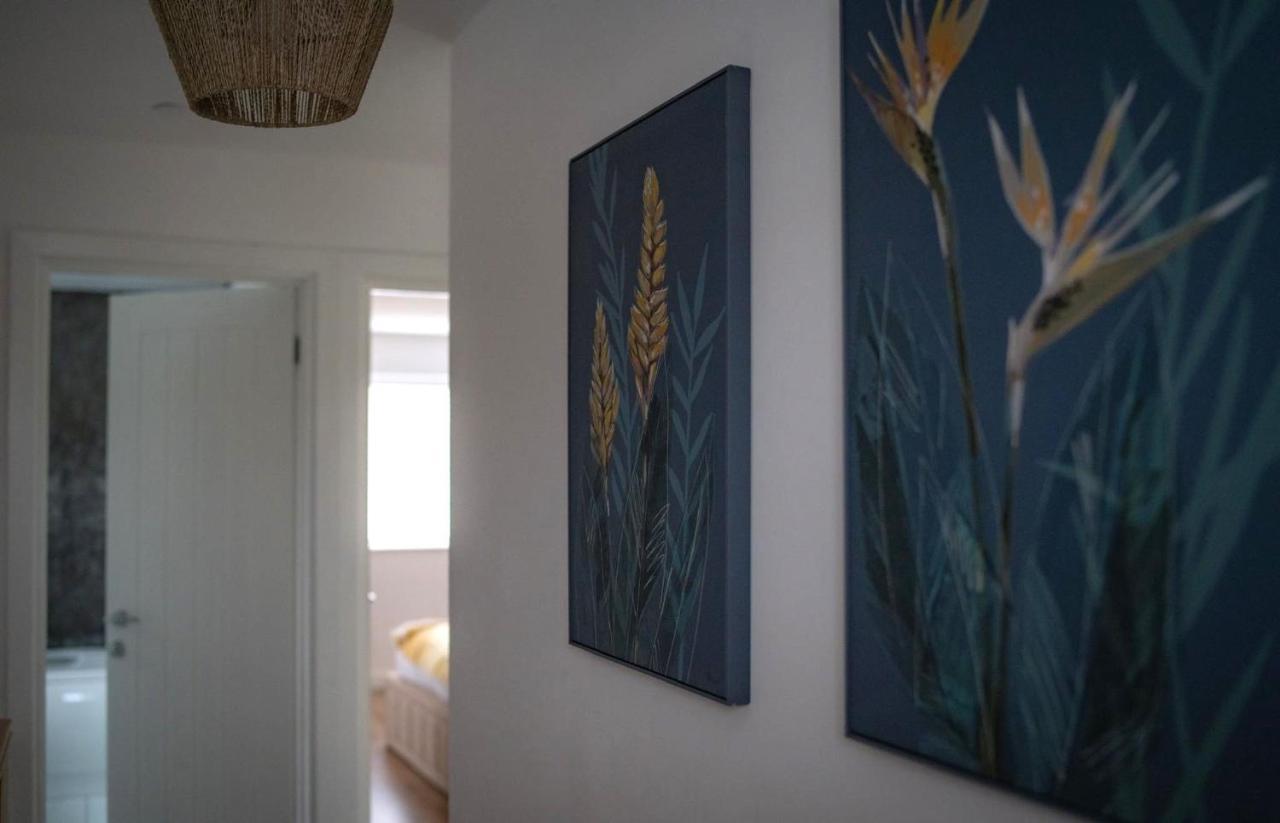 The Red House Modern Stylish Home From Home Walking Distance To Cardiff Bay And City Centre With Parking Esterno foto